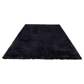 Indoor Plush Area Rugs, 8 x 10 ft Soft Plush Carpet, Furry Shag Area Rugs for Living Room, Bedroom, Sunroom, Modern Home Decor Aesthetic, Non-She (Color: Black, size: 8x10 ft)